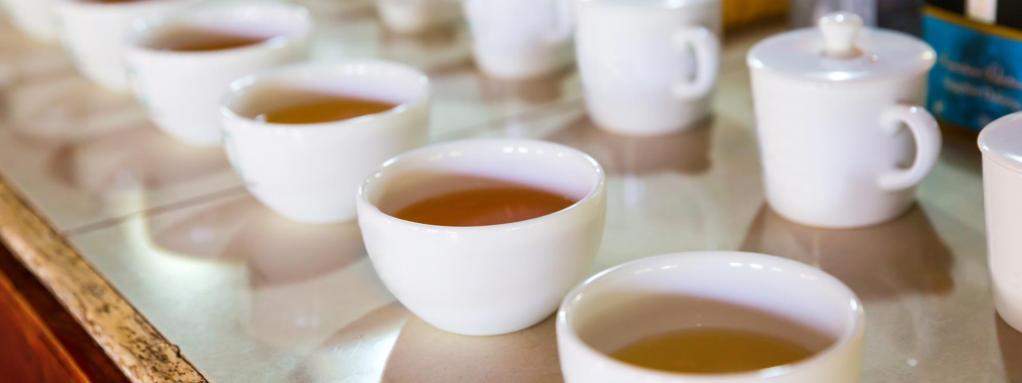 Teesorten & Tea Tasting